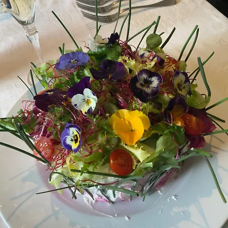 Le Jardin De La Tuilerie Alsace Affittacamere Pfastatt