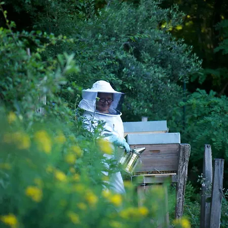 Le Jardin De La Tuilerie Alsace Affittacamere 3*