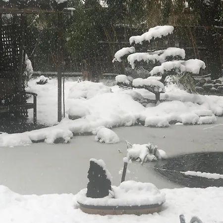 Le Jardin De La Tuilerie Alsace Pfastatt