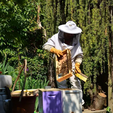 Le Jardin De La Tuilerie Alsace Pfastatt