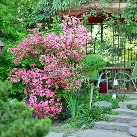 Le Jardin De La Tuilerie Alsace 3* Pfastatt