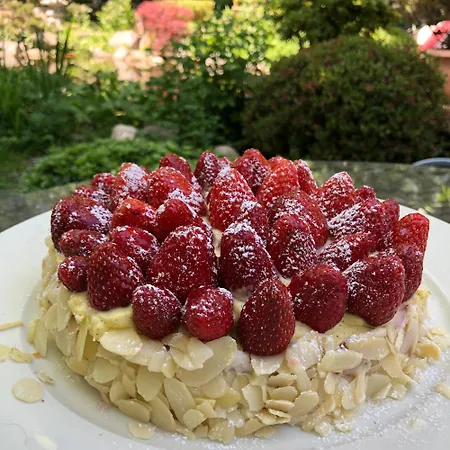 Le Jardin De La Tuilerie Alsace Affittacamere