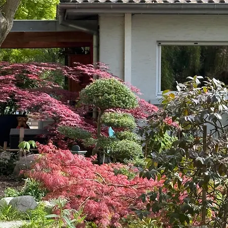 Le Jardin De La Tuilerie Alsace